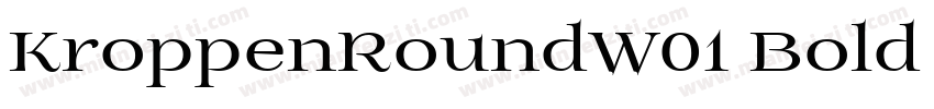 KroppenRoundW01 Bold Regular字体转换